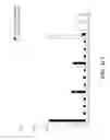 Fig. 19 - COMPOSITIONS AND METHODS FOR IMMUNOSTIMULATORY RNA OLIGONUCLEOTIDES