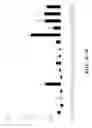 Fig. 38 - COMPOSITIONS AND METHODS FOR IMMUNOSTIMULATORY RNA OLIGONUCLEOTIDES