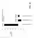 Fig. 55 - COMPOSITIONS AND METHODS FOR IMMUNOSTIMULATORY RNA OLIGONUCLEOTIDES