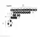 Fig. 02 - SELECTION AND PROPAGATION OF PROGENITOR CELLS
