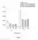 Fig. 04 - Compositions and Methods of Using Living and Non-Living Bioactive Devices with Components Derived From Self-Renewing Colony Forming Cells Cultured and Expanded In Vitro