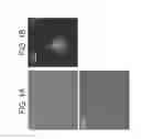 Fig. 02 - Methods of expanding and redifferentiating islet beta cells