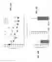 Fig. 17 - Methods of expanding and redifferentiating islet beta cells