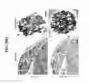 Fig. 18 - Methods of expanding and redifferentiating islet beta cells