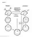 Fig. 02 - Use of selected lactic acid bacteria for reducing infantile colic