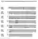 Fig. 04 - Lysosomal phospholipase A2 (LPLA2) activity as a therapeutic target for treating systemic lupus erythematosus