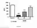 Fig. 11 - ANTIMICROBIAL, ANTIVIRAL, ANTICANCER AND IMMUNOMODULATORY PEPTIDES AND USES THEREFORE