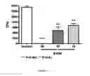 Fig. 12 - ANTIMICROBIAL, ANTIVIRAL, ANTICANCER AND IMMUNOMODULATORY PEPTIDES AND USES THEREFORE