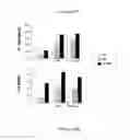 Fig. 21 - ANTIMICROBIAL, ANTIVIRAL, ANTICANCER AND IMMUNOMODULATORY PEPTIDES AND USES THEREFORE