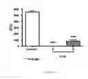 Fig. 23 - ANTIMICROBIAL, ANTIVIRAL, ANTICANCER AND IMMUNOMODULATORY PEPTIDES AND USES THEREFORE