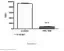 Fig. 38 - ANTIMICROBIAL, ANTIVIRAL, ANTICANCER AND IMMUNOMODULATORY PEPTIDES AND USES THEREFORE