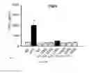 Fig. 51 - ANTIMICROBIAL, ANTIVIRAL, ANTICANCER AND IMMUNOMODULATORY PEPTIDES AND USES THEREFORE