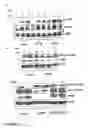 Fig. 05 - Prohibitin as target for cancer therapy