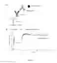 Fig. 12 - ACTRIIA BINDING AGENTS AND USES THEREOF