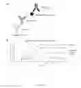 Fig. 13 - ACTRIIA BINDING AGENTS AND USES THEREOF