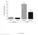 Fig. 15 - ACTRIIA BINDING AGENTS AND USES THEREOF