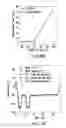 Fig. 10 - METHODS FOR PRODUCING HIGH CONCENTRATION LYOPHILIZED PHARMACEUTICAL FORMULATIONS