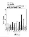 Fig. 12 - METHODS FOR PRODUCING HIGH CONCENTRATION LYOPHILIZED PHARMACEUTICAL FORMULATIONS