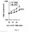 Fig. 04 - Anti-AXL antibody