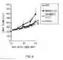 Fig. 07 - Anti-AXL antibody