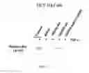 Fig. 06 - MODIFIED EGFR ECTODOMAIN