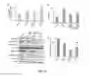 Fig. 20 - MODIFIED EGFR ECTODOMAIN