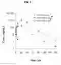 Fig. 06 - SELECTIVE AND POTENT PEPTIDE INHIBITORS OF Kv1.3