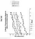 Fig. 19 - SELECTIVE AND POTENT PEPTIDE INHIBITORS OF Kv1.3