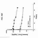 Fig. 41 - SELECTIVE AND POTENT PEPTIDE INHIBITORS OF Kv1.3