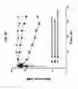 Fig. 45 - SELECTIVE AND POTENT PEPTIDE INHIBITORS OF Kv1.3