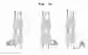 Fig. 49 - SELECTIVE AND POTENT PEPTIDE INHIBITORS OF Kv1.3