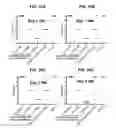 Fig. 62 - SELECTIVE AND POTENT PEPTIDE INHIBITORS OF Kv1.3