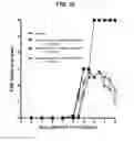 Fig. 63 - SELECTIVE AND POTENT PEPTIDE INHIBITORS OF Kv1.3