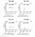 Fig. 64 - SELECTIVE AND POTENT PEPTIDE INHIBITORS OF Kv1.3