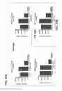 Fig. 65 - SELECTIVE AND POTENT PEPTIDE INHIBITORS OF Kv1.3