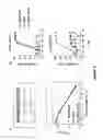Fig. 10 - Fusion antibodies for HIV therapy