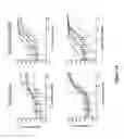 Fig. 15 - Fusion antibodies for HIV therapy