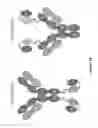 Fig. 17 - Fusion antibodies for HIV therapy