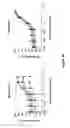 Fig. 19 - Fusion antibodies for HIV therapy