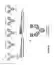 Fig. 26 - Fusion antibodies for HIV therapy