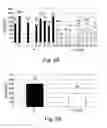Fig. 04 - Proteins