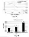 Fig. 05 - Proteins