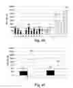 Fig. 08 - Proteins