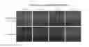 Fig. 01 - Compositions and methods for the therapy and diagnosis of influenza