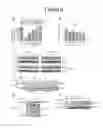 Fig. 10 - Use of SAM68 for modulating signaling through the TNF receptor