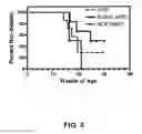 Fig. 04 - Method of treating autoimmune disease with mesenchymal stem cells