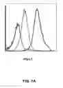 Fig. 09 - Method of treating autoimmune disease with mesenchymal stem cells