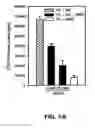 Fig. 13 - Method of treating autoimmune disease with mesenchymal stem cells