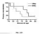 Fig. 19 - Method of treating autoimmune disease with mesenchymal stem cells