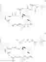 Fig. 16 - ALANINYL MAYTANSINOL ANTIBODY CONJUGATES